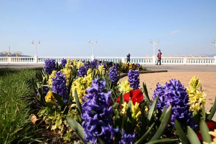 kurort_gelendzhik_mart