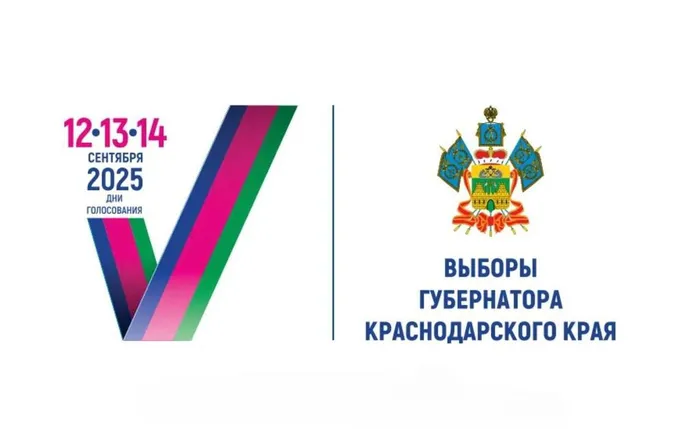 выборы